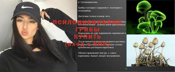 трава Армянск