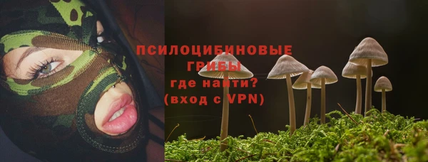 ALPHA-PVP Арсеньев
