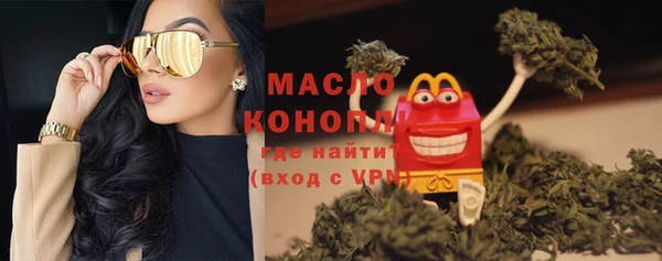 дживик Надым