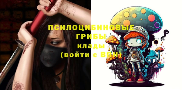 соль ск Аркадак