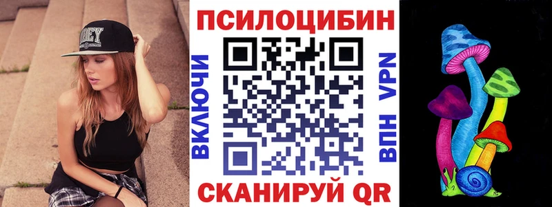 Псилоцибиновые грибы Psilocybine cubensis  Сортавала 